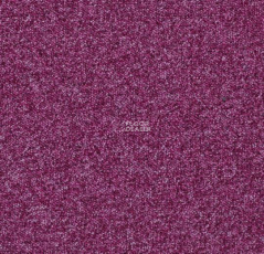 Tessera Basis 374 Raspberry фото 1 | FLOORDEALER